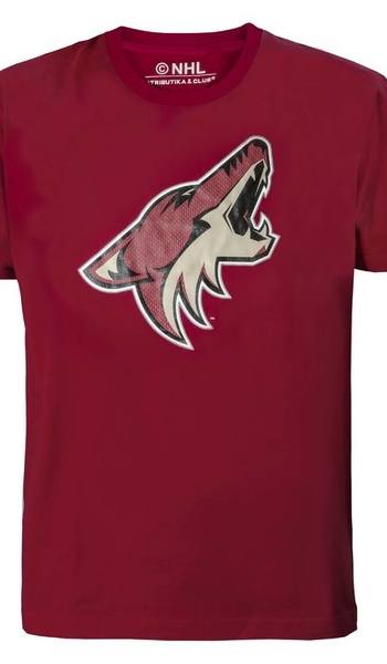 30580 Футболка Arizona Coyotes - фото товара №1