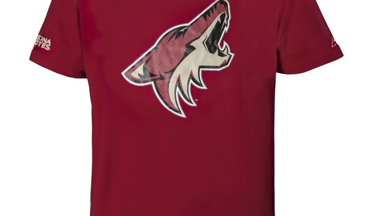 30580 Футболка Arizona Coyotes - фото №1