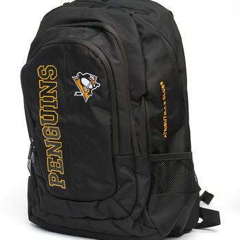 58047 Pittsburgh Penguins - фото товара №1