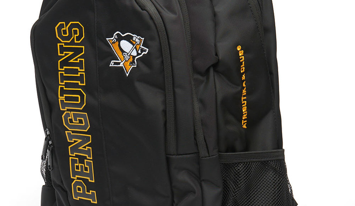 58047 Pittsburgh Penguins - фото №1