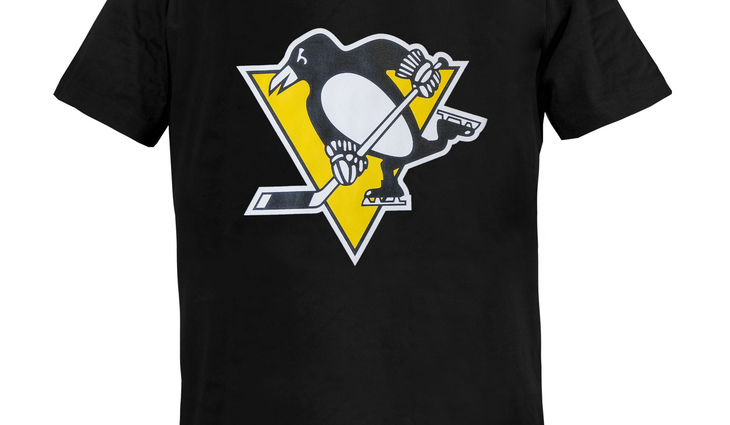 30940 Футболка Pittsburgh Penguins - фото №1