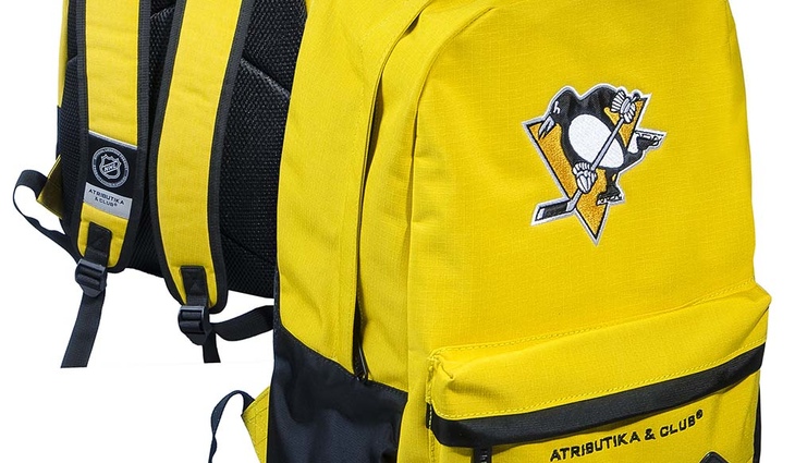 58173 Рюкзак Pittsburgh Penguins - фото №1