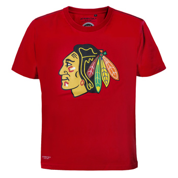 309130 Футболка Chicago Blackhawks - фото товара №1