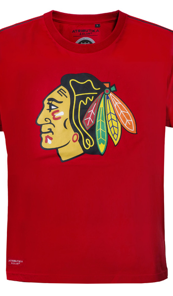 309130 Футболка Chicago Blackhawks - фото товара №1