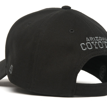31626 Бейсболка Arizona Coyotes - фото товара №4