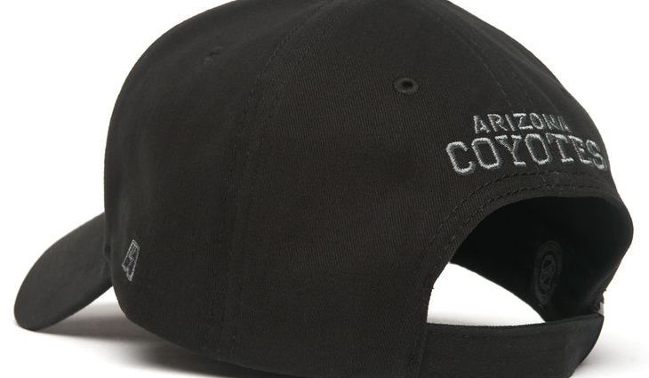 31626 Бейсболка Arizona Coyotes - фото №4