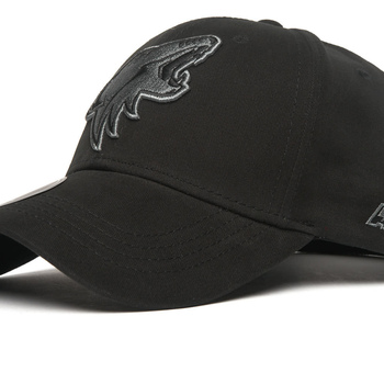 31626 Бейсболка Arizona Coyotes - фото товара №1