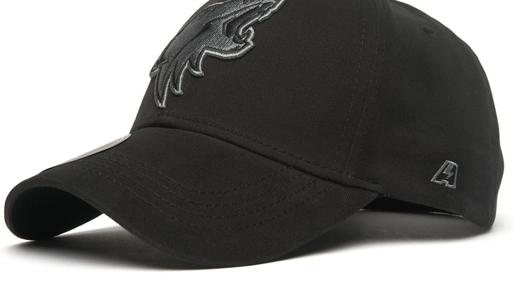 31626 Бейсболка Arizona Coyotes - фото №1