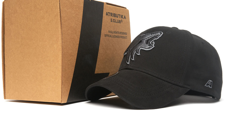 31626 Бейсболка Arizona Coyotes - фото №5