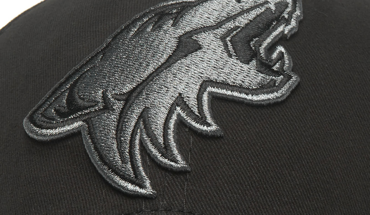 31626 Бейсболка Arizona Coyotes - фото №3