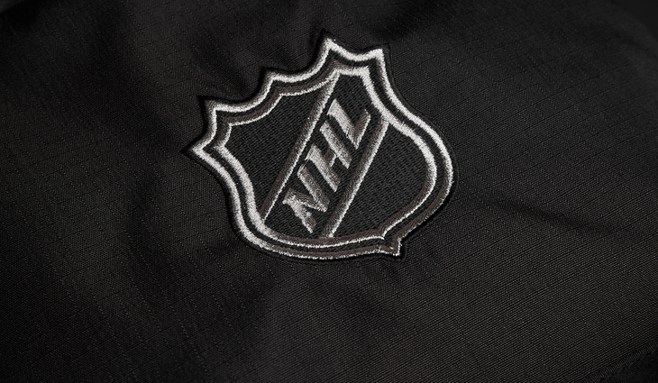 58239 Рюкзак NHL - фото №3