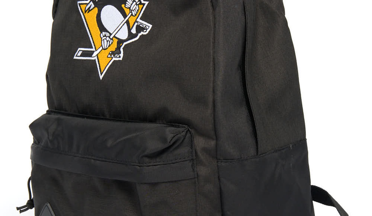 58245 Pittsburgh Penguins - фото №2