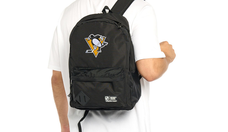 58245 Pittsburgh Penguins - фото №1