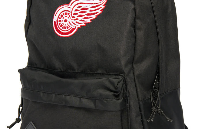 58252 Detroit Red Wings - фото №1