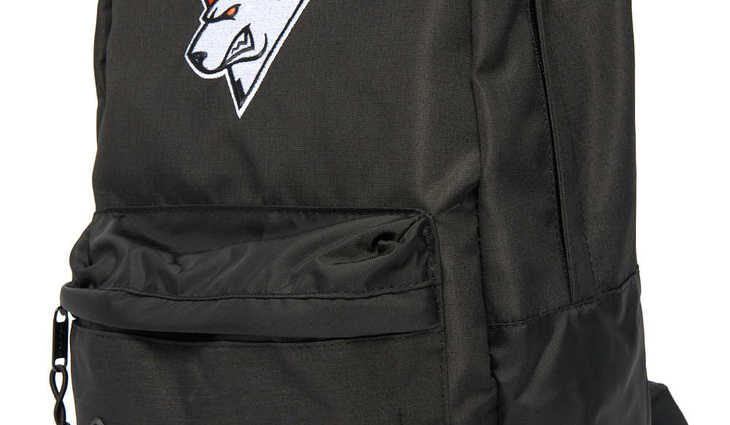 11669 Рюкзак VIRTUS PRO - фото №1