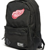 58252 Detroit Red Wings - small фото - 1