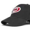 31117 Бейсболка Carolina Hurricanes - small фото - 2